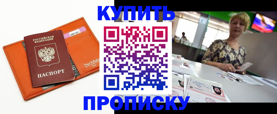 прописка поиск в Курске